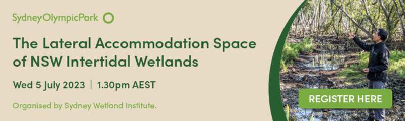 Free Webinar: The lateral accommodation space of NSW intertidal wetlands
